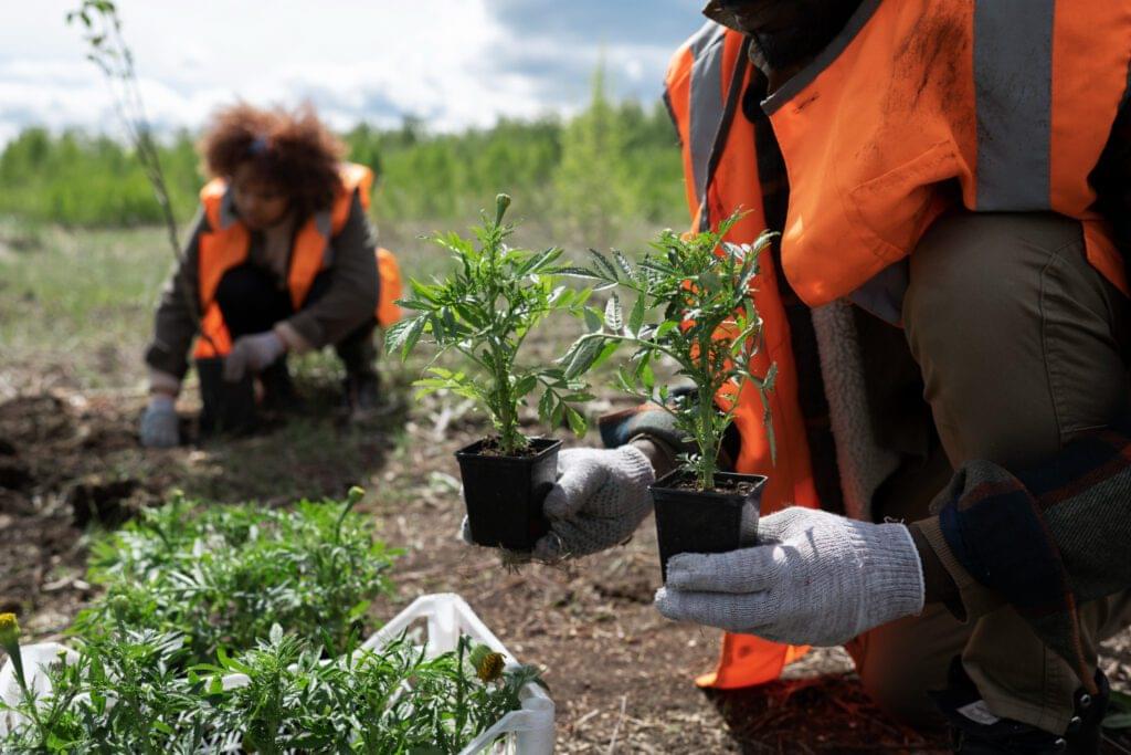 contact-reforestation in kenya