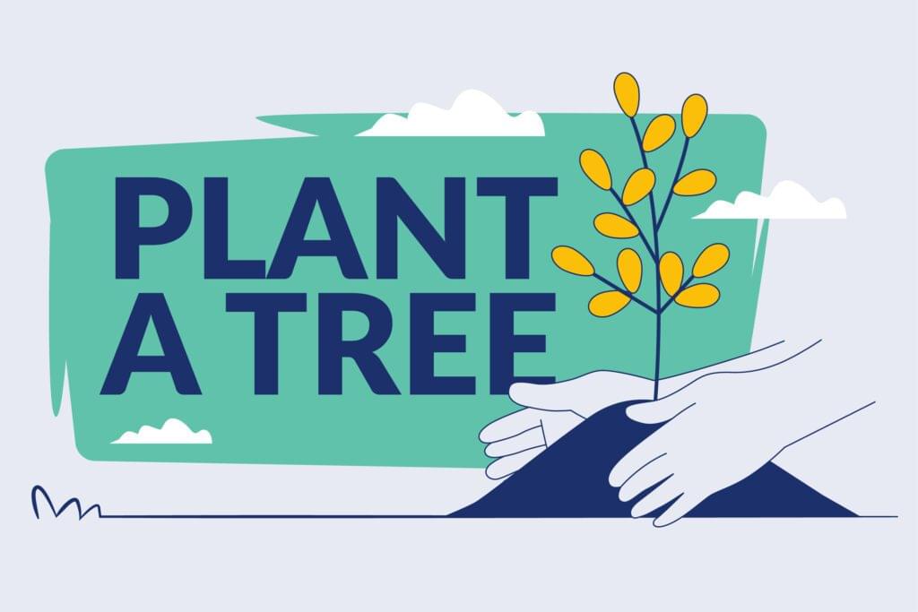 From Seed to Shade The Journey of a Tree in Our Campaigns
