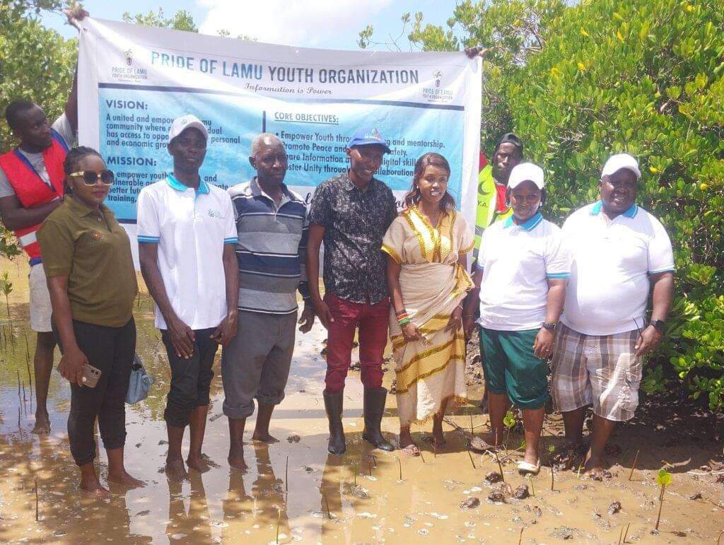 mangrove planting Lamu