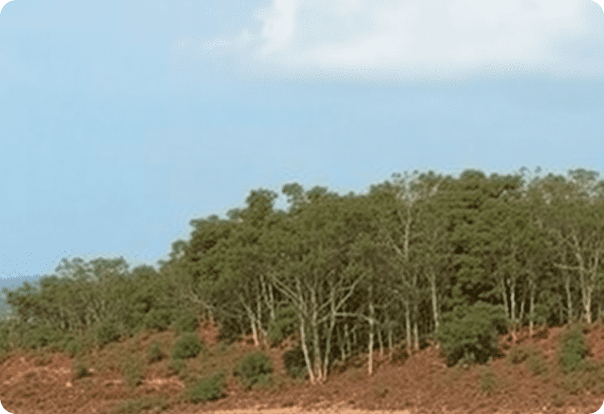 community-led-environmental-conservation-in-kenya 1